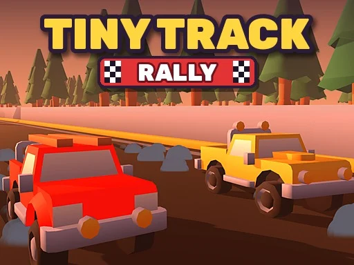 Tiny Track Rally - 3191